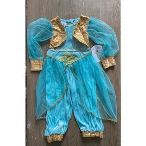 Gillians Closet Genie costume Size 2